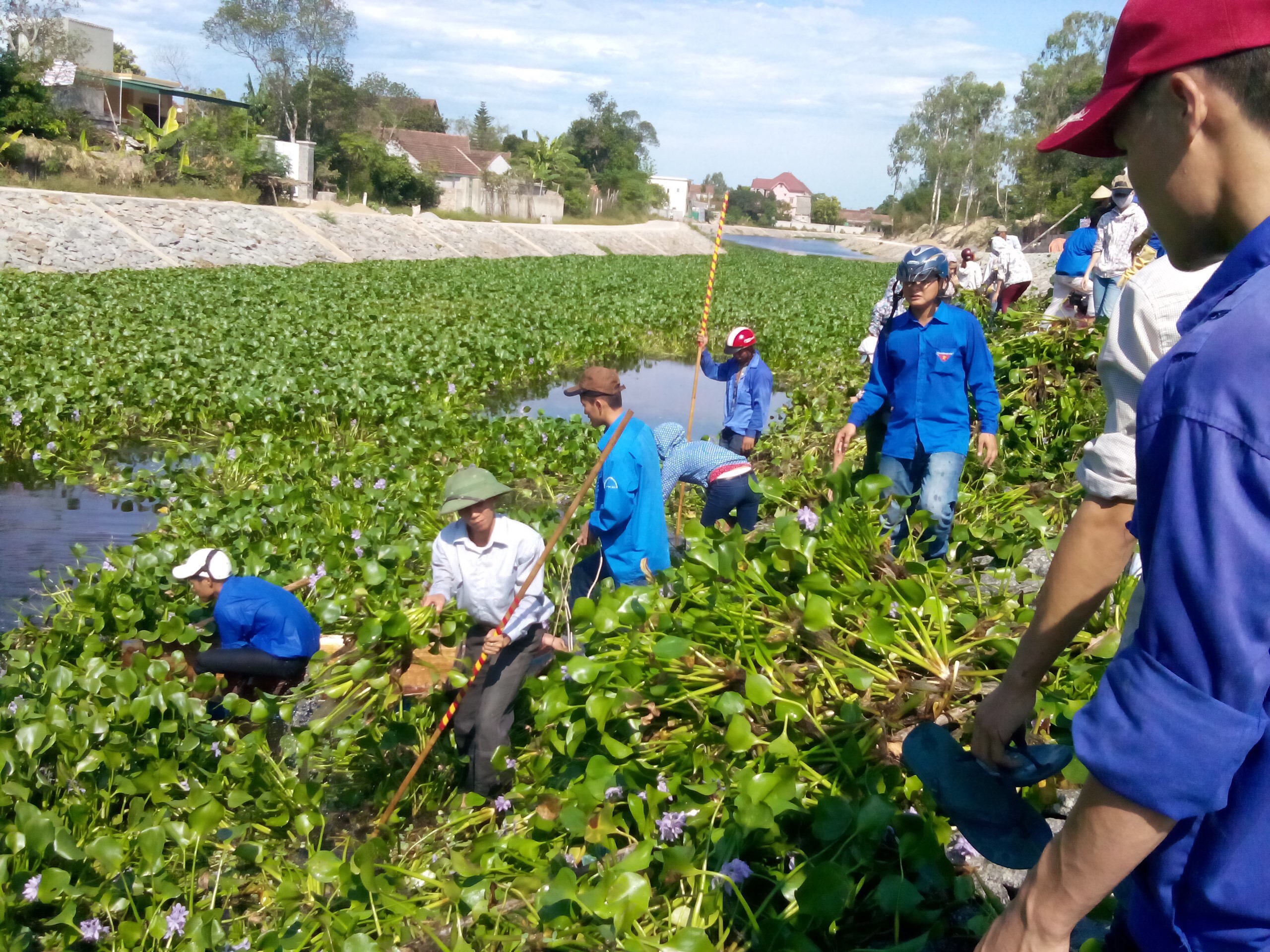 Hoạt động tình nguyện tích cực